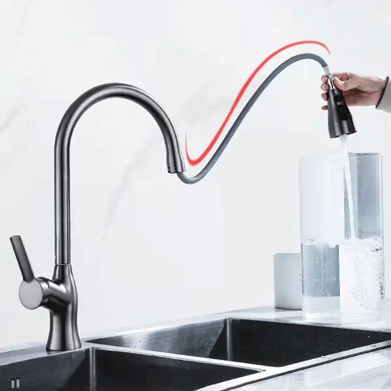 1-Hole 1-Handle Faucet Pull out Sprayer Standard Kitchen Faucet Clearhalo 'Home Improvement' 'home_improvement' 'home_improvement_kitchen_faucets' 'Kitchen Faucets' 'Kitchen Remodel & Kitchen Fixtures' 'Kitchen Sinks & Faucet Components' 'kitchen_faucets' 6510760