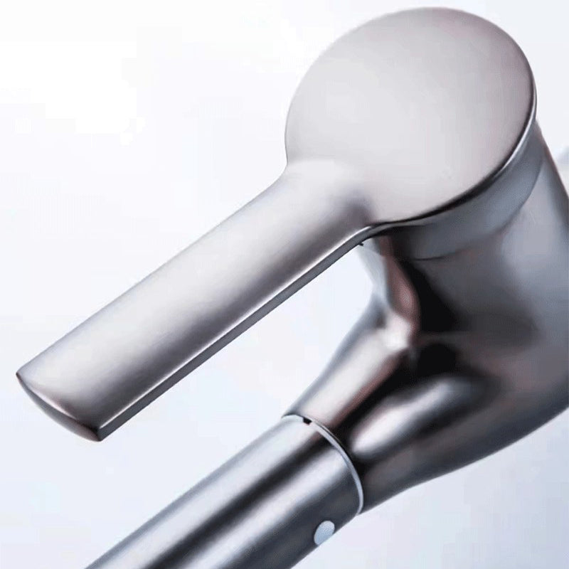 1-Hole 1-Handle Faucet Pull out Sprayer Standard Kitchen Faucet Clearhalo 'Home Improvement' 'home_improvement' 'home_improvement_kitchen_faucets' 'Kitchen Faucets' 'Kitchen Remodel & Kitchen Fixtures' 'Kitchen Sinks & Faucet Components' 'kitchen_faucets' 6510761