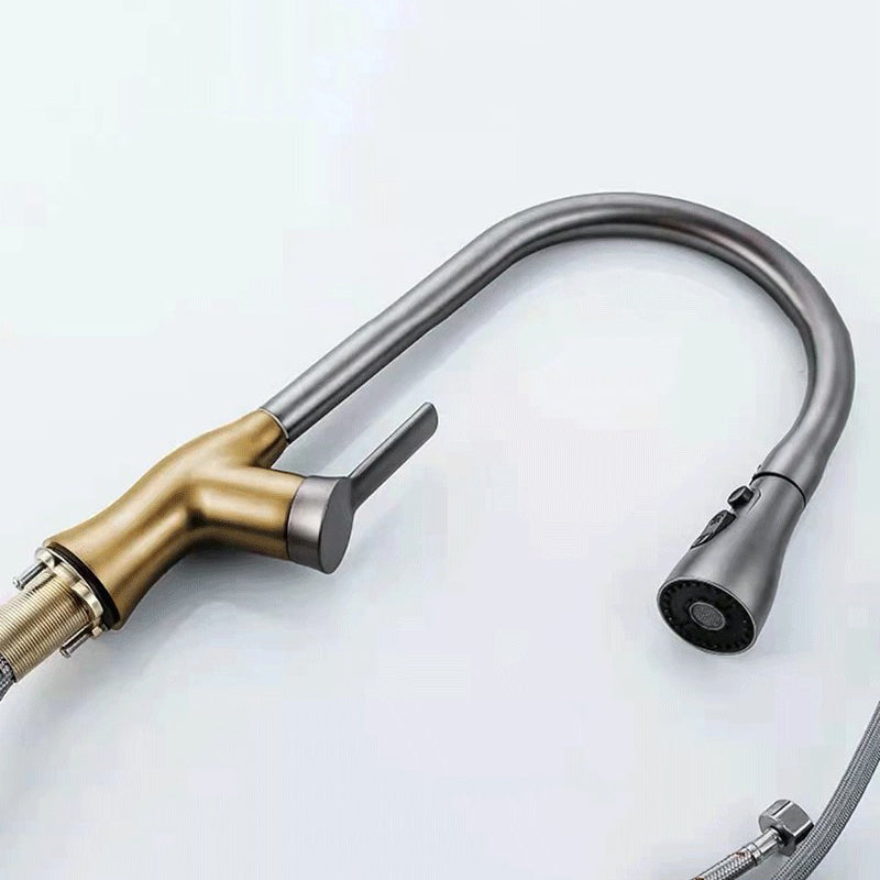 1-Hole 1-Handle Faucet Pull out Sprayer Standard Kitchen Faucet Clearhalo 'Home Improvement' 'home_improvement' 'home_improvement_kitchen_faucets' 'Kitchen Faucets' 'Kitchen Remodel & Kitchen Fixtures' 'Kitchen Sinks & Faucet Components' 'kitchen_faucets' 6510765