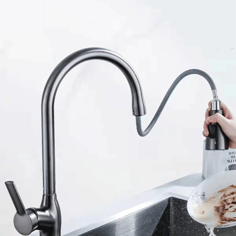 1-Hole 1-Handle Faucet Pull out Sprayer Standard Kitchen Faucet Clearhalo 'Home Improvement' 'home_improvement' 'home_improvement_kitchen_faucets' 'Kitchen Faucets' 'Kitchen Remodel & Kitchen Fixtures' 'Kitchen Sinks & Faucet Components' 'kitchen_faucets' 6510767