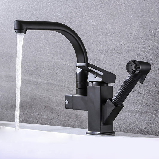 Traditional 1-Handle Faucet with Water Dispenser Standard Kitchen Faucet Clearhalo 'Home Improvement' 'home_improvement' 'home_improvement_kitchen_faucets' 'Kitchen Faucets' 'Kitchen Remodel & Kitchen Fixtures' 'Kitchen Sinks & Faucet Components' 'kitchen_faucets' 6527968