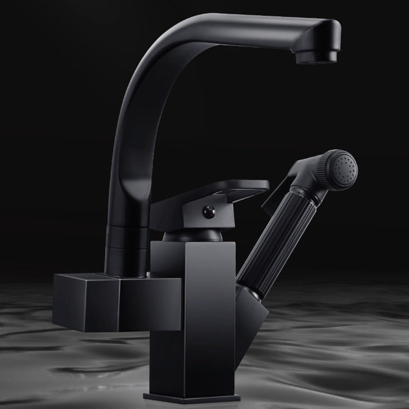 Traditional 1-Handle Faucet with Water Dispenser Standard Kitchen Faucet Clearhalo 'Home Improvement' 'home_improvement' 'home_improvement_kitchen_faucets' 'Kitchen Faucets' 'Kitchen Remodel & Kitchen Fixtures' 'Kitchen Sinks & Faucet Components' 'kitchen_faucets' 6527972