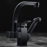 Traditional 1-Handle Faucet with Water Dispenser Standard Kitchen Faucet Clearhalo 'Home Improvement' 'home_improvement' 'home_improvement_kitchen_faucets' 'Kitchen Faucets' 'Kitchen Remodel & Kitchen Fixtures' 'Kitchen Sinks & Faucet Components' 'kitchen_faucets' 6527972