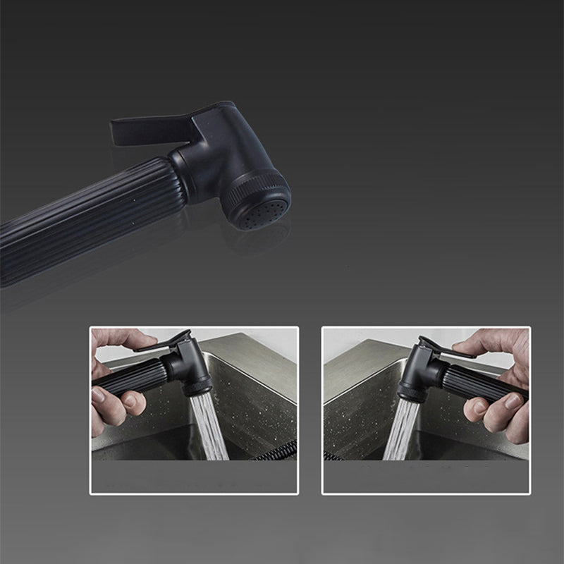 Traditional 1-Handle Faucet with Water Dispenser Standard Kitchen Faucet Clearhalo 'Home Improvement' 'home_improvement' 'home_improvement_kitchen_faucets' 'Kitchen Faucets' 'Kitchen Remodel & Kitchen Fixtures' 'Kitchen Sinks & Faucet Components' 'kitchen_faucets' 6527976