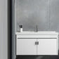 Contemporary Sink Vanity Solid Color Mirror Cabinet Space Saver Vanity for Bathroom Vanity & Faucet Clearhalo 'Bathroom Remodel & Bathroom Fixtures' 'Bathroom Vanities' 'bathroom_vanities' 'Home Improvement' 'home_improvement' 'home_improvement_bathroom_vanities' 6528133