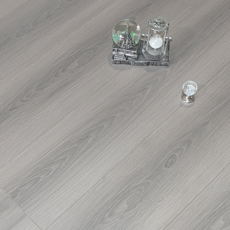 Contemporary Style Laminate Solid Wood Laminate Plank Flooring Silver Gray Clearhalo 'Flooring 'Home Improvement' 'home_improvement' 'home_improvement_laminate_flooring' 'Laminate Flooring' 'laminate_flooring' Walls and Ceiling' 6528719