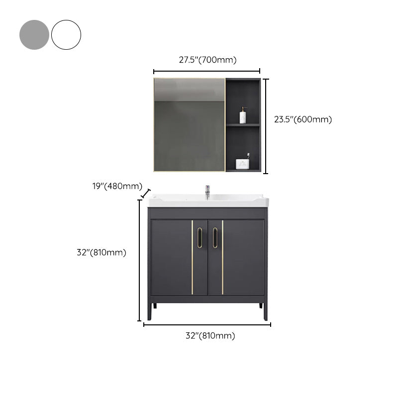 Metal Bathroom Vanity Set 2 Doors Freestanding Rectangle Single Sink Bathroom with Mirror Clearhalo 'Bathroom Remodel & Bathroom Fixtures' 'Bathroom Vanities' 'bathroom_vanities' 'Home Improvement' 'home_improvement' 'home_improvement_bathroom_vanities' 6540874