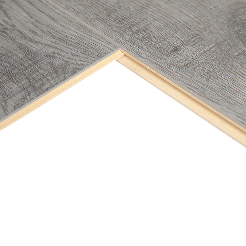 Modern Pine Laminate Flooring Click-Lock Waterproof Laminate Plank Flooring Clearhalo 'Flooring 'Home Improvement' 'home_improvement' 'home_improvement_laminate_flooring' 'Laminate Flooring' 'laminate_flooring' Walls and Ceiling' 6541566