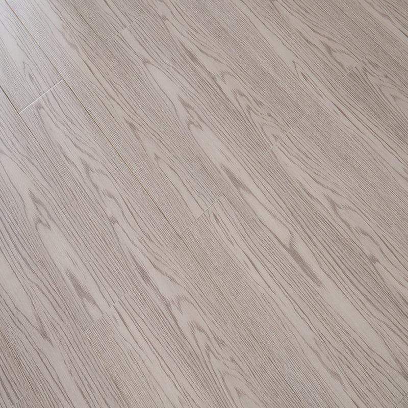Modern Laminate Flooring Solid Wood Laminate Flooring with Scratch Resistant Purple Clearhalo 'Flooring 'Home Improvement' 'home_improvement' 'home_improvement_laminate_flooring' 'Laminate Flooring' 'laminate_flooring' Walls and Ceiling' 6541603