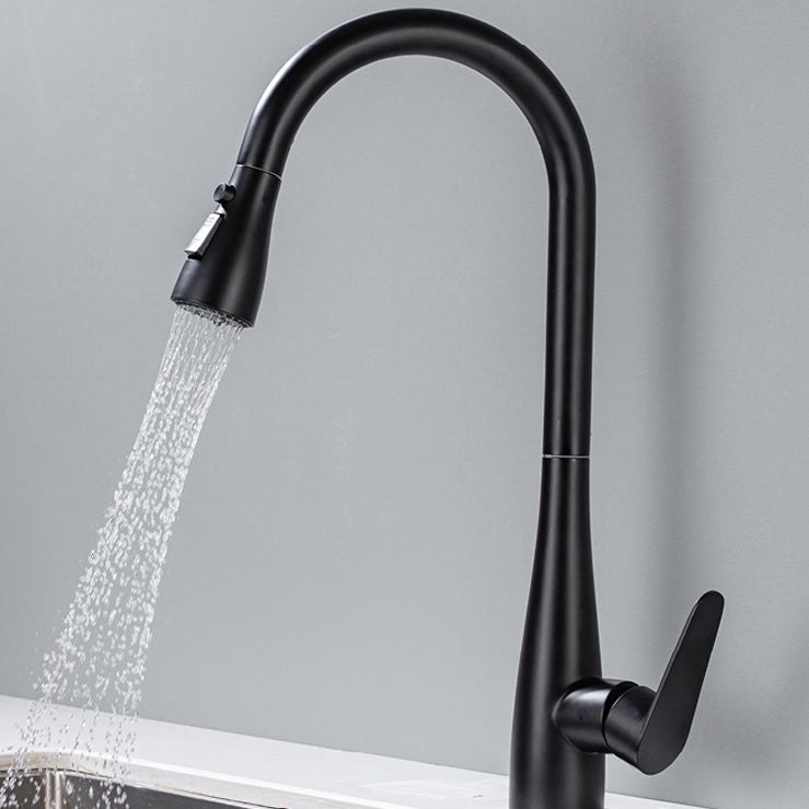 Modern Standard Kitchen Faucet 1-Handle Pull down Bar Faucet Black Clearhalo 'Home Improvement' 'home_improvement' 'home_improvement_kitchen_faucets' 'Kitchen Faucets' 'Kitchen Remodel & Kitchen Fixtures' 'Kitchen Sinks & Faucet Components' 'kitchen_faucets' 6541932