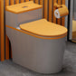 Skirted Toilet Floor Traditional Mount One-Piece Toilet with Slow Close Seat 15"L x 27"W x 24"H Gray Orange Clearhalo 'Bathroom Remodel & Bathroom Fixtures' 'Home Improvement' 'home_improvement' 'home_improvement_toilets' 'Toilets & Bidets' 'Toilets' 6549200