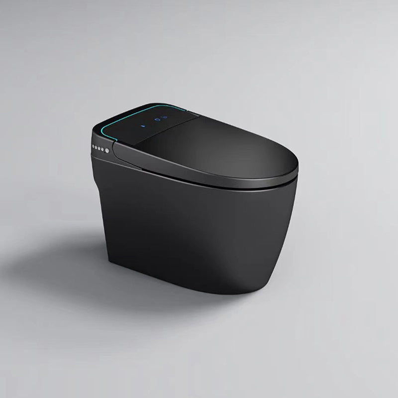 Modern Concealed Tank Toilet Skirted ABS Floor Mount Flush Toilet with Seat Black Clearhalo 'Bathroom Remodel & Bathroom Fixtures' 'Home Improvement' 'home_improvement' 'home_improvement_toilets' 'Toilets & Bidets' 'Toilets' 6549241