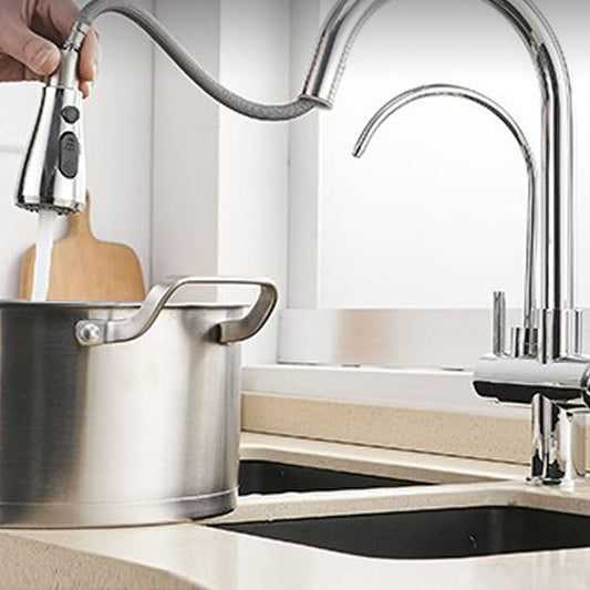 Modern 2-Handle Kitchen Faucet with Sprayer and Water Dispenser Bar Faucet Clearhalo 'Home Improvement' 'home_improvement' 'home_improvement_kitchen_faucets' 'Kitchen Faucets' 'Kitchen Remodel & Kitchen Fixtures' 'Kitchen Sinks & Faucet Components' 'kitchen_faucets' 6558251