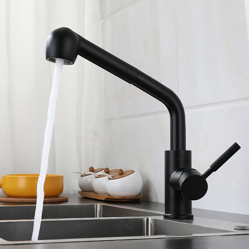 1-Handle Kitchen Faucet Pull down Sprayer with Supply Lines Bar Faucet Black Pipe Shape Clearhalo 'Home Improvement' 'home_improvement' 'home_improvement_kitchen_faucets' 'Kitchen Faucets' 'Kitchen Remodel & Kitchen Fixtures' 'Kitchen Sinks & Faucet Components' 'kitchen_faucets' 6558287