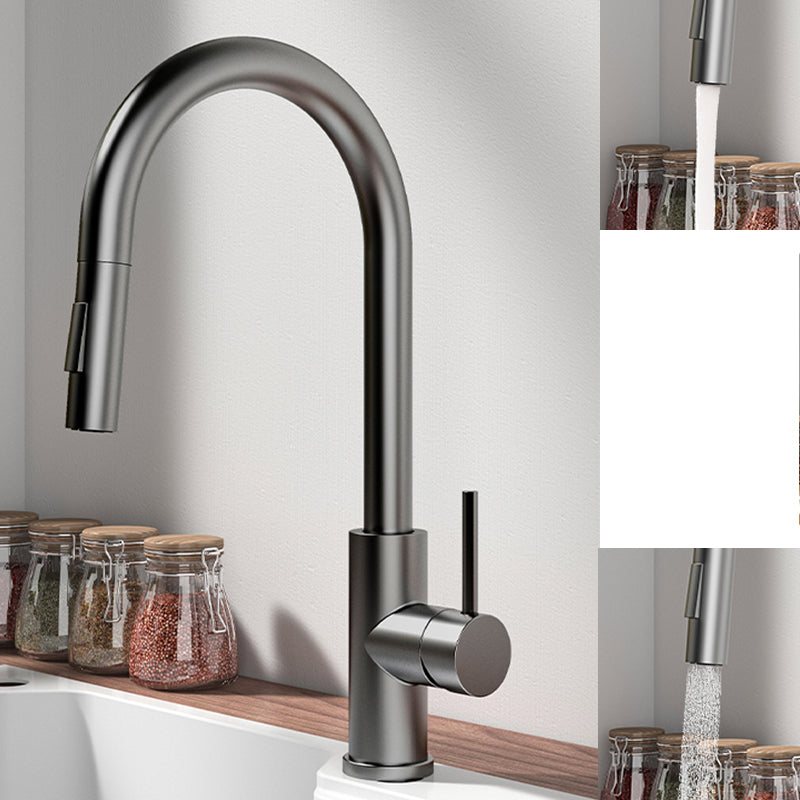 Modern Standard Bar Faucet 1-Handle with Pull down Sprayer Kitchen Faucet Grey No Sensor Clearhalo 'Home Improvement' 'home_improvement' 'home_improvement_kitchen_faucets' 'Kitchen Faucets' 'Kitchen Remodel & Kitchen Fixtures' 'Kitchen Sinks & Faucet Components' 'kitchen_faucets' 6562103