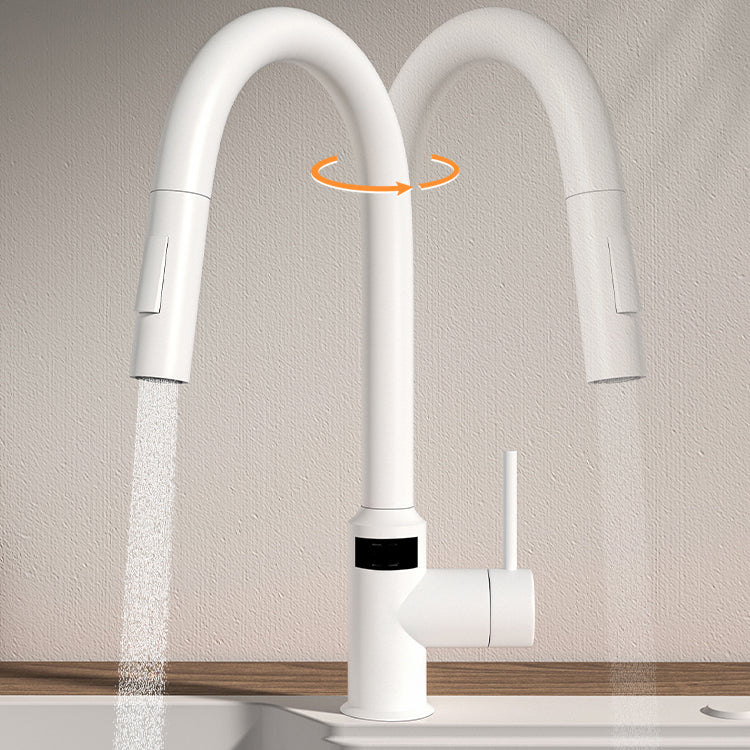 Modern Standard Bar Faucet 1-Handle with Pull down Sprayer Kitchen Faucet Clearhalo 'Home Improvement' 'home_improvement' 'home_improvement_kitchen_faucets' 'Kitchen Faucets' 'Kitchen Remodel & Kitchen Fixtures' 'Kitchen Sinks & Faucet Components' 'kitchen_faucets' 6562104