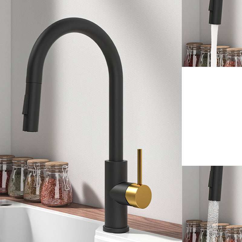 Modern Standard Bar Faucet 1-Handle with Pull down Sprayer Kitchen Faucet Black/ Gold No Sensor Clearhalo 'Home Improvement' 'home_improvement' 'home_improvement_kitchen_faucets' 'Kitchen Faucets' 'Kitchen Remodel & Kitchen Fixtures' 'Kitchen Sinks & Faucet Components' 'kitchen_faucets' 6562105