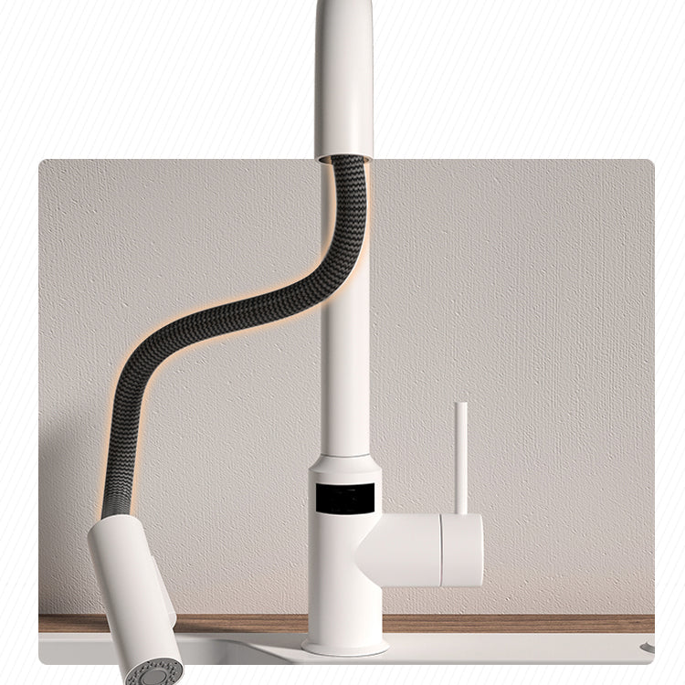 Modern Standard Bar Faucet 1-Handle with Pull down Sprayer Kitchen Faucet Clearhalo 'Home Improvement' 'home_improvement' 'home_improvement_kitchen_faucets' 'Kitchen Faucets' 'Kitchen Remodel & Kitchen Fixtures' 'Kitchen Sinks & Faucet Components' 'kitchen_faucets' 6562111