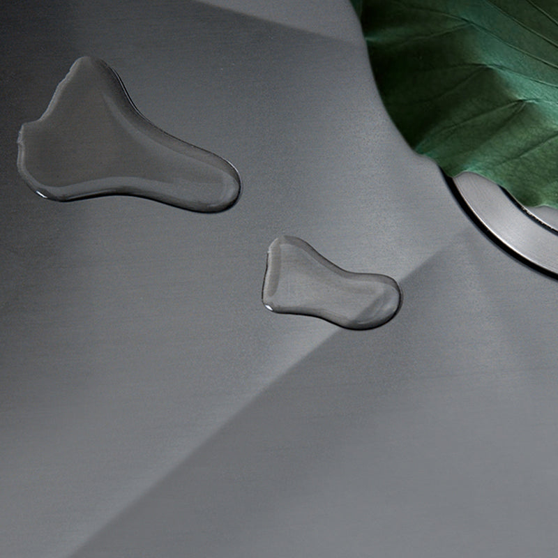 Contemporary Style Kitchen Sink Dirt Resistant Drop-In Kitchen Sink with Drain Assembly Clearhalo 'Home Improvement' 'home_improvement' 'home_improvement_kitchen_sinks' 'Kitchen Remodel & Kitchen Fixtures' 'Kitchen Sinks & Faucet Components' 'Kitchen Sinks' 'kitchen_sinks' 6577292