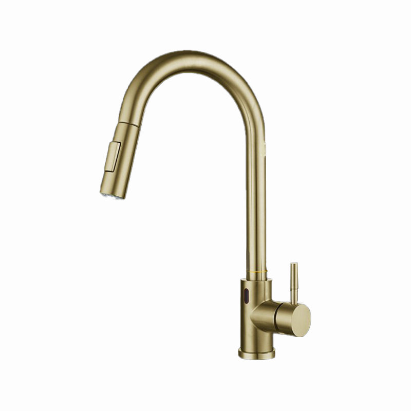 Pull Down Sprayer Bar Kitchen 1-Hole Kitchen Faucet with Supply Lines Gold Clearhalo 'Home Improvement' 'home_improvement' 'home_improvement_kitchen_faucets' 'Kitchen Faucets' 'Kitchen Remodel & Kitchen Fixtures' 'Kitchen Sinks & Faucet Components' 'kitchen_faucets' 6577534