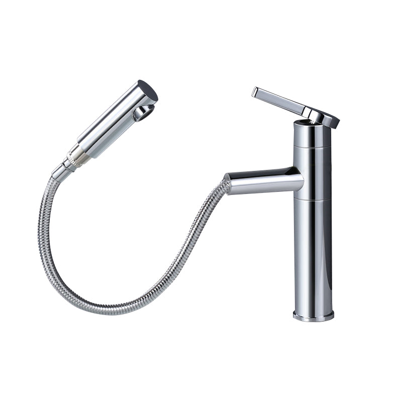 Pull-out Vessel Faucet Modern Style Faucet with One Lever Handle Chrome 9.6" Clearhalo 'Bathroom Remodel & Bathroom Fixtures' 'Bathroom Sink Faucets' 'Bathroom Sinks & Faucet Components' 'bathroom_sink_faucets' 'Home Improvement' 'home_improvement' 'home_improvement_bathroom_sink_faucets' 6577967