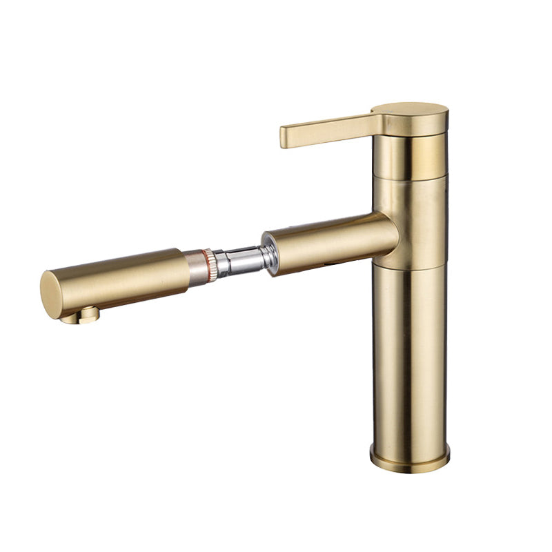 Pull-out Vessel Faucet Modern Style Faucet with One Lever Handle Gold 9.6" Clearhalo 'Bathroom Remodel & Bathroom Fixtures' 'Bathroom Sink Faucets' 'Bathroom Sinks & Faucet Components' 'bathroom_sink_faucets' 'Home Improvement' 'home_improvement' 'home_improvement_bathroom_sink_faucets' 6577968