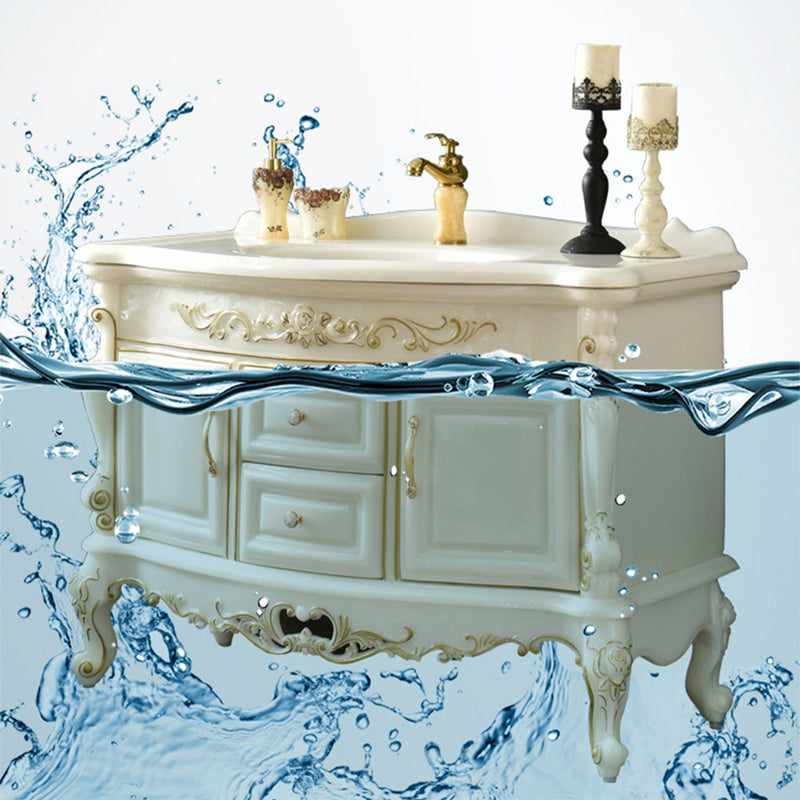 Luxury Bathroom Vanity Set Single Sink Drawers 2 Doors Bathroom Vanity with Mirror Clearhalo 'Bathroom Remodel & Bathroom Fixtures' 'Bathroom Vanities' 'bathroom_vanities' 'Home Improvement' 'home_improvement' 'home_improvement_bathroom_vanities' 6578157