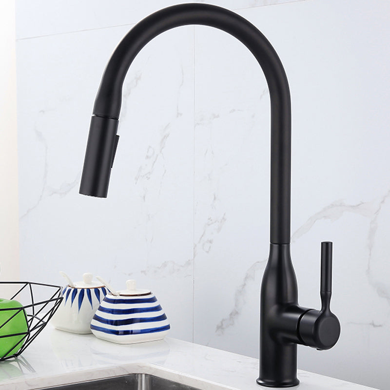 Modern Kitchen Faucet Pull down Sprayer Bar Faucet with Handle and Supply Line Black Soft Spray Clearhalo 'Home Improvement' 'home_improvement' 'home_improvement_kitchen_faucets' 'Kitchen Faucets' 'Kitchen Remodel & Kitchen Fixtures' 'Kitchen Sinks & Faucet Components' 'kitchen_faucets' 6585210