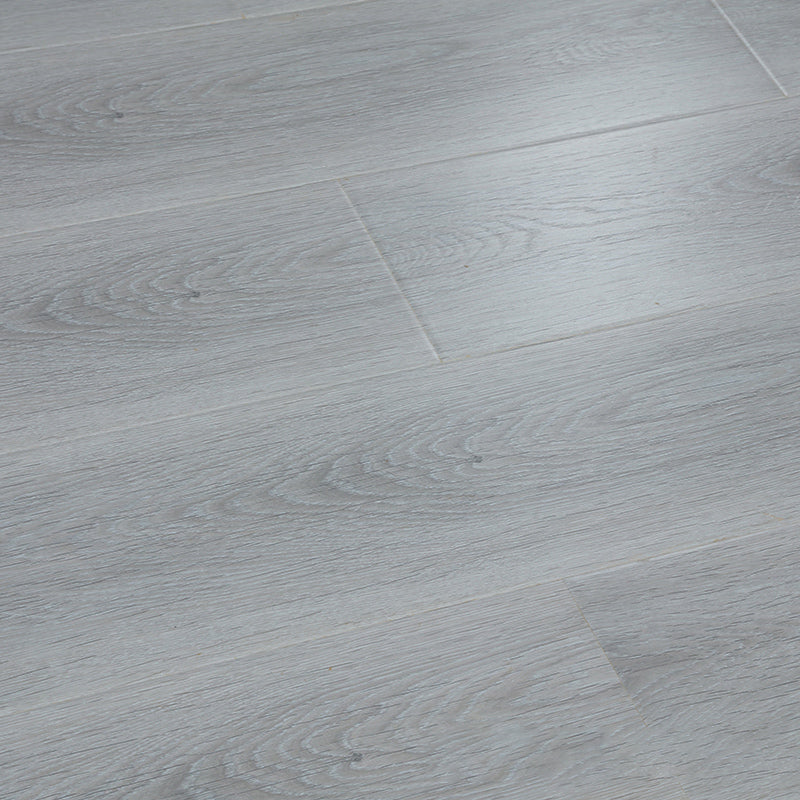 Modern Laminate Floor Wood Stain Resistant and Waterproof Laminate Plank Flooring Ash Wood Grain Clearhalo 'Flooring 'Home Improvement' 'home_improvement' 'home_improvement_laminate_flooring' 'Laminate Flooring' 'laminate_flooring' Walls and Ceiling' 6598003