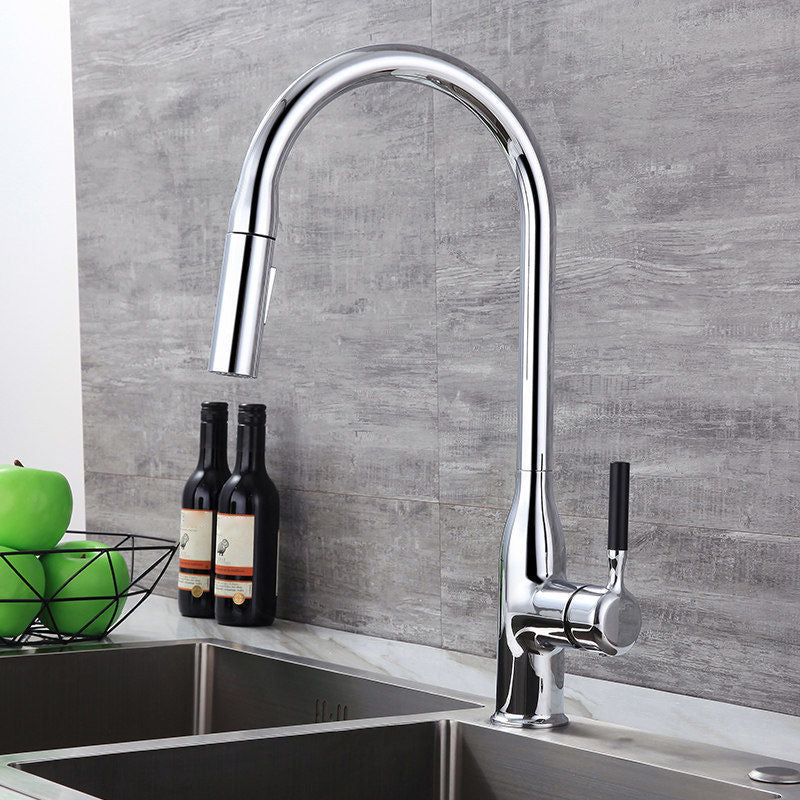 Modern 1-Handle Faucet Pull out Sprayer Standard Kitchen Faucet Silver 16" Clearhalo 'Home Improvement' 'home_improvement' 'home_improvement_kitchen_faucets' 'Kitchen Faucets' 'Kitchen Remodel & Kitchen Fixtures' 'Kitchen Sinks & Faucet Components' 'kitchen_faucets' 6598271