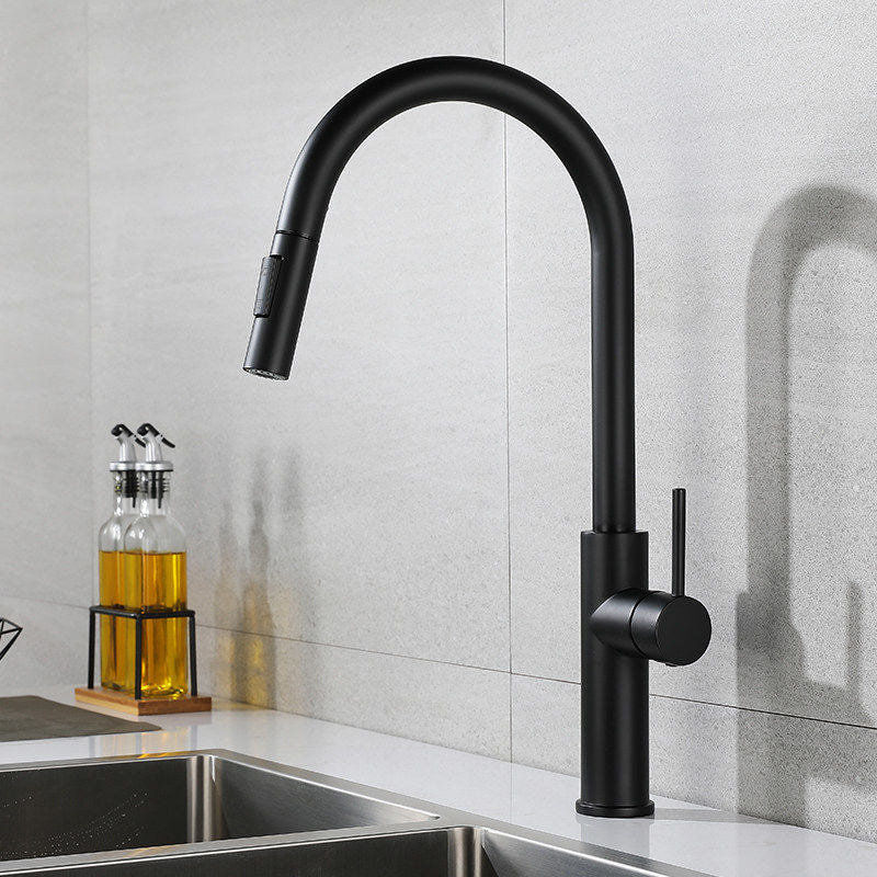 Modern 1-Handle Faucet Pull out Sprayer Standard Kitchen Faucet Black 19" Clearhalo 'Home Improvement' 'home_improvement' 'home_improvement_kitchen_faucets' 'Kitchen Faucets' 'Kitchen Remodel & Kitchen Fixtures' 'Kitchen Sinks & Faucet Components' 'kitchen_faucets' 6598275