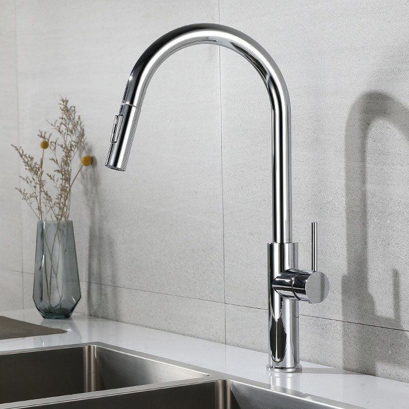 Modern 1-Handle Faucet Pull out Sprayer Standard Kitchen Faucet Silver 19" Clearhalo 'Home Improvement' 'home_improvement' 'home_improvement_kitchen_faucets' 'Kitchen Faucets' 'Kitchen Remodel & Kitchen Fixtures' 'Kitchen Sinks & Faucet Components' 'kitchen_faucets' 6598278