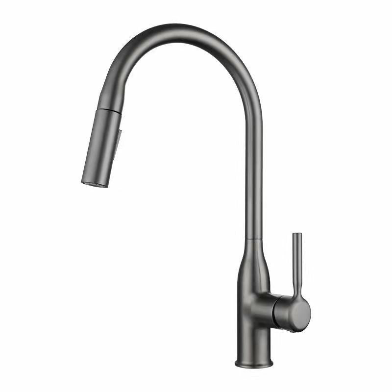 Modern 1-Handle Faucet Pull out Sprayer Standard Kitchen Faucet Clearhalo 'Home Improvement' 'home_improvement' 'home_improvement_kitchen_faucets' 'Kitchen Faucets' 'Kitchen Remodel & Kitchen Fixtures' 'Kitchen Sinks & Faucet Components' 'kitchen_faucets' 6598279