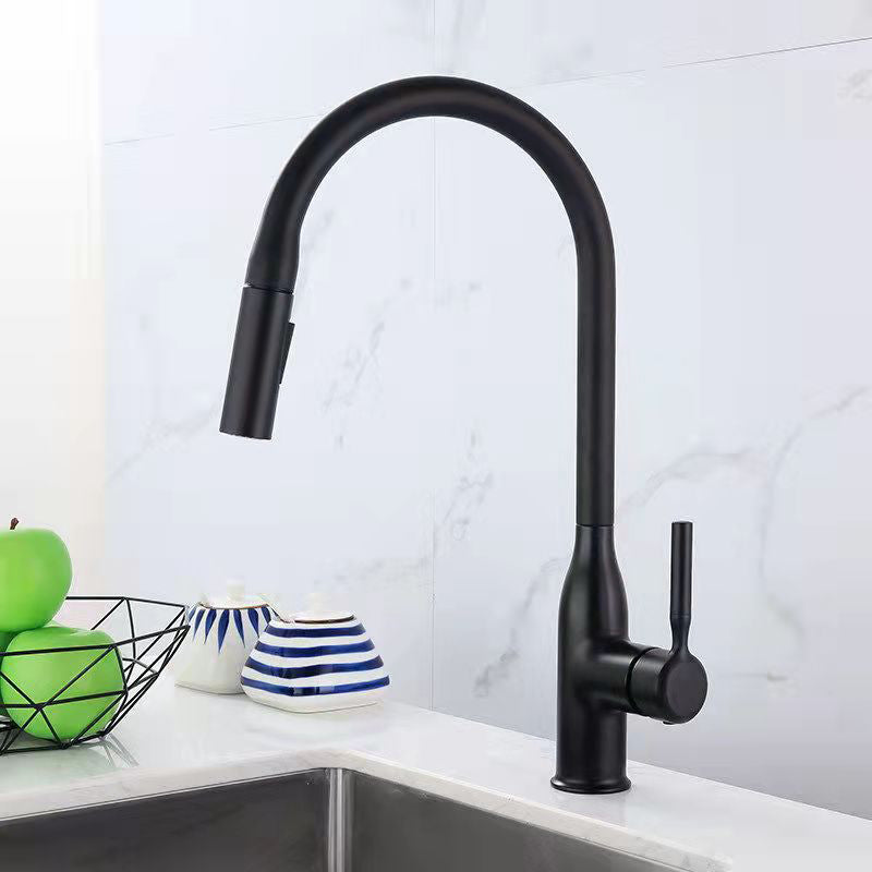 Modern 1-Handle Faucet Pull out Sprayer Standard Kitchen Faucet Black 16" Clearhalo 'Home Improvement' 'home_improvement' 'home_improvement_kitchen_faucets' 'Kitchen Faucets' 'Kitchen Remodel & Kitchen Fixtures' 'Kitchen Sinks & Faucet Components' 'kitchen_faucets' 6598280
