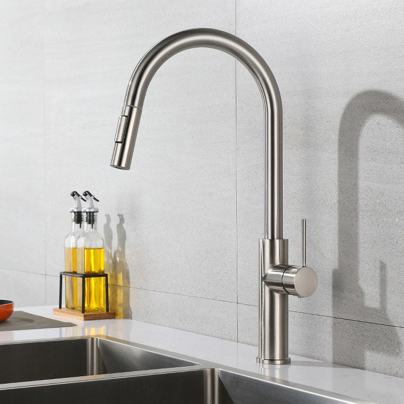 Modern 1-Handle Faucet Pull out Sprayer Standard Kitchen Faucet Chrome 19" Clearhalo 'Home Improvement' 'home_improvement' 'home_improvement_kitchen_faucets' 'Kitchen Faucets' 'Kitchen Remodel & Kitchen Fixtures' 'Kitchen Sinks & Faucet Components' 'kitchen_faucets' 6598282