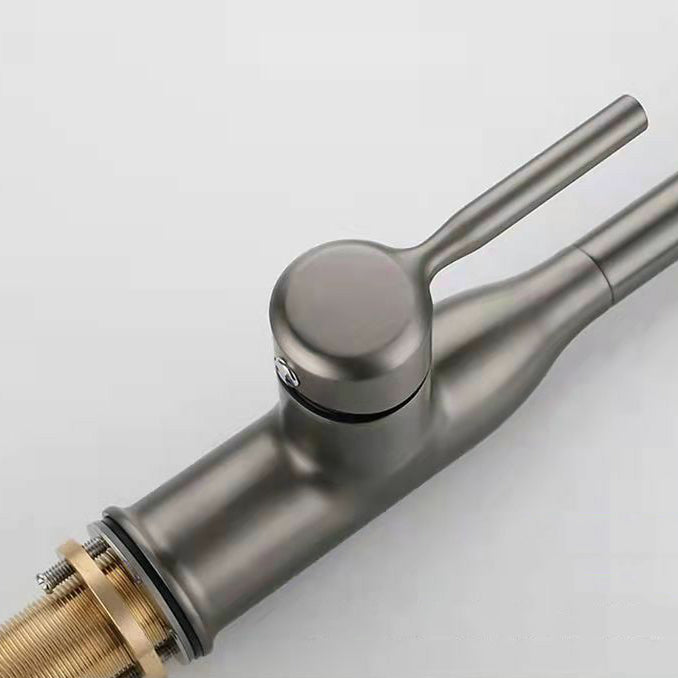 Modern 1-Handle Faucet Pull out Sprayer Standard Kitchen Faucet Clearhalo 'Home Improvement' 'home_improvement' 'home_improvement_kitchen_faucets' 'Kitchen Faucets' 'Kitchen Remodel & Kitchen Fixtures' 'Kitchen Sinks & Faucet Components' 'kitchen_faucets' 6598288