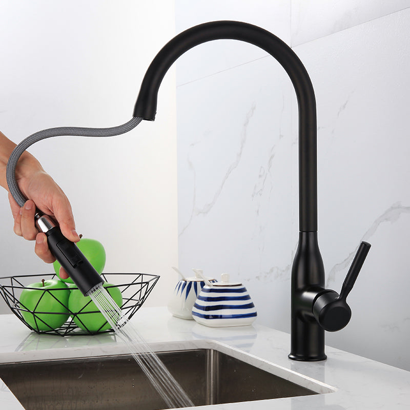 Modern Standard Kitchen Faucet Gooseneck Kitchen Faucet with One Handle Black Clearhalo 'Home Improvement' 'home_improvement' 'home_improvement_kitchen_faucets' 'Kitchen Faucets' 'Kitchen Remodel & Kitchen Fixtures' 'Kitchen Sinks & Faucet Components' 'kitchen_faucets' 6615556