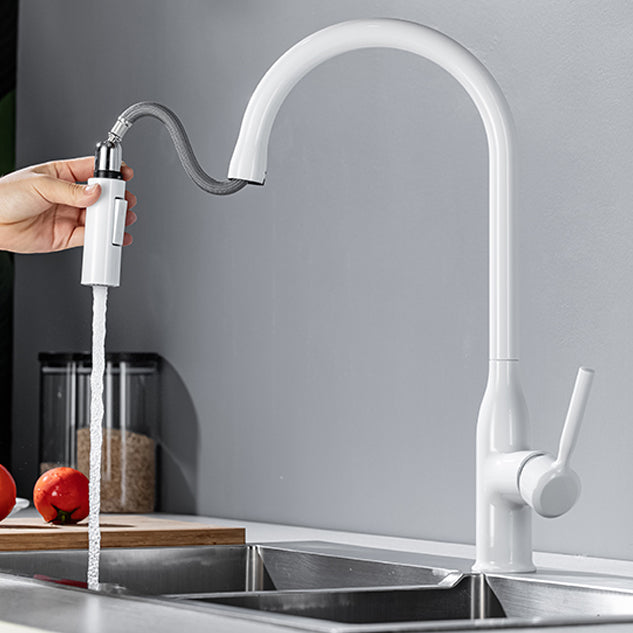 Modern Standard Kitchen Faucet Gooseneck Kitchen Faucet with One Handle Clearhalo 'Home Improvement' 'home_improvement' 'home_improvement_kitchen_faucets' 'Kitchen Faucets' 'Kitchen Remodel & Kitchen Fixtures' 'Kitchen Sinks & Faucet Components' 'kitchen_faucets' 6615557