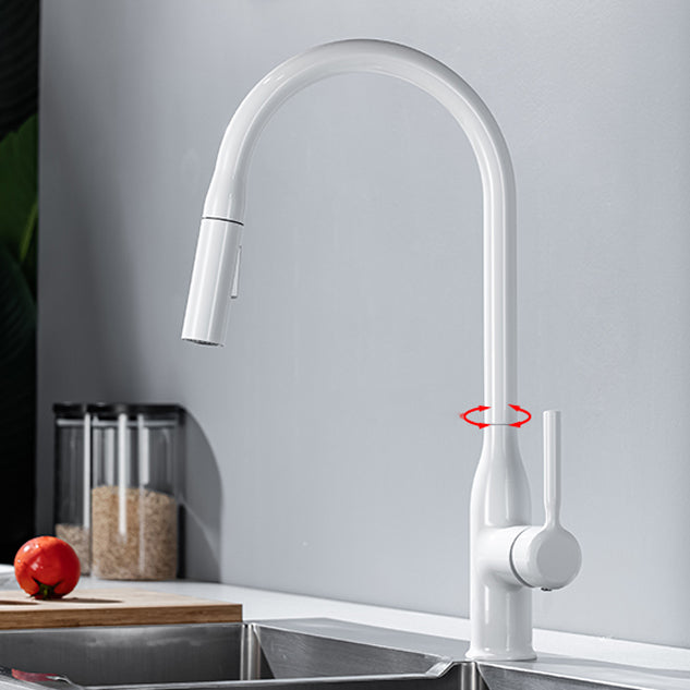 Modern Standard Kitchen Faucet Gooseneck Kitchen Faucet with One Handle Clearhalo 'Home Improvement' 'home_improvement' 'home_improvement_kitchen_faucets' 'Kitchen Faucets' 'Kitchen Remodel & Kitchen Fixtures' 'Kitchen Sinks & Faucet Components' 'kitchen_faucets' 6615558