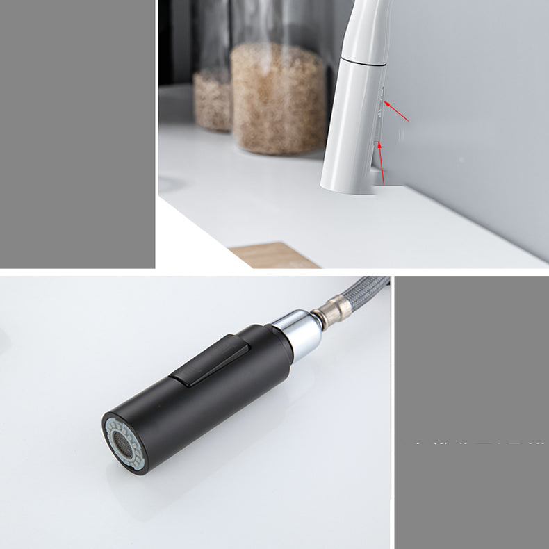 Modern Standard Kitchen Faucet Gooseneck Kitchen Faucet with One Handle Clearhalo 'Home Improvement' 'home_improvement' 'home_improvement_kitchen_faucets' 'Kitchen Faucets' 'Kitchen Remodel & Kitchen Fixtures' 'Kitchen Sinks & Faucet Components' 'kitchen_faucets' 6615560