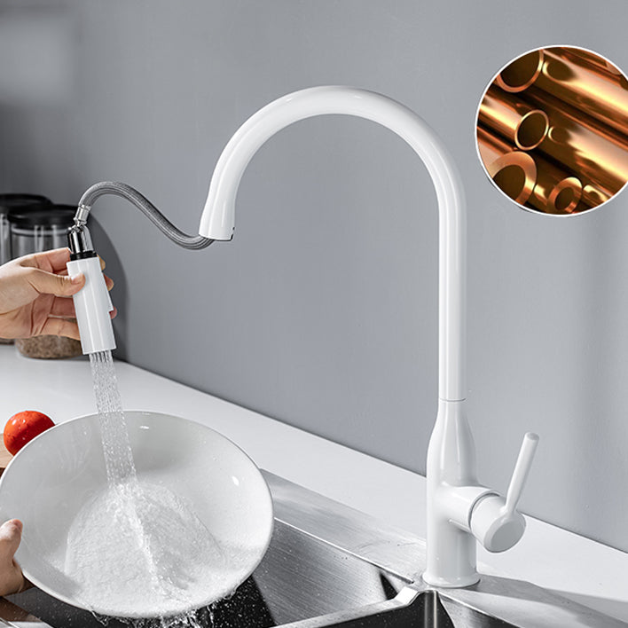 Modern Standard Kitchen Faucet Gooseneck Kitchen Faucet with One Handle Clearhalo 'Home Improvement' 'home_improvement' 'home_improvement_kitchen_faucets' 'Kitchen Faucets' 'Kitchen Remodel & Kitchen Fixtures' 'Kitchen Sinks & Faucet Components' 'kitchen_faucets' 6615564