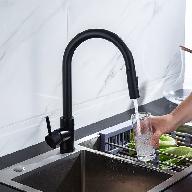 Modern Style Kitchen Faucet Gooseneck Kitchen Faucet with Pull down Sprayer Clearhalo 'Home Improvement' 'home_improvement' 'home_improvement_kitchen_faucets' 'Kitchen Faucets' 'Kitchen Remodel & Kitchen Fixtures' 'Kitchen Sinks & Faucet Components' 'kitchen_faucets' 6615566