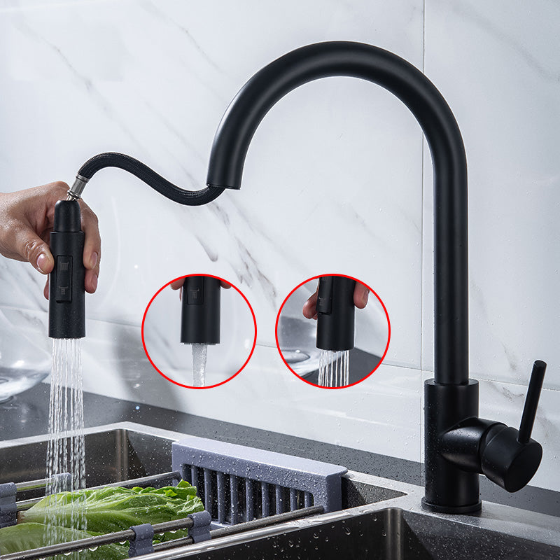 Modern Style Kitchen Faucet Gooseneck Kitchen Faucet with Pull down Sprayer Black Clearhalo 'Home Improvement' 'home_improvement' 'home_improvement_kitchen_faucets' 'Kitchen Faucets' 'Kitchen Remodel & Kitchen Fixtures' 'Kitchen Sinks & Faucet Components' 'kitchen_faucets' 6615567