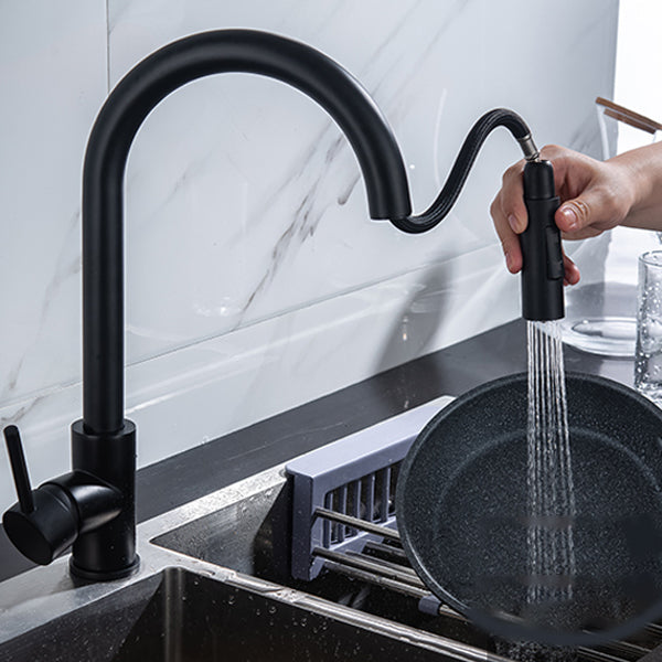 Modern Style Kitchen Faucet Gooseneck Kitchen Faucet with Pull down Sprayer Clearhalo 'Home Improvement' 'home_improvement' 'home_improvement_kitchen_faucets' 'Kitchen Faucets' 'Kitchen Remodel & Kitchen Fixtures' 'Kitchen Sinks & Faucet Components' 'kitchen_faucets' 6615570