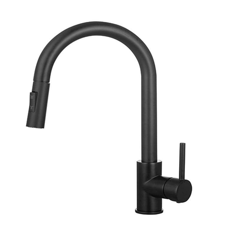 Modern Style Kitchen Faucet Gooseneck Kitchen Faucet with Pull down Sprayer Clearhalo 'Home Improvement' 'home_improvement' 'home_improvement_kitchen_faucets' 'Kitchen Faucets' 'Kitchen Remodel & Kitchen Fixtures' 'Kitchen Sinks & Faucet Components' 'kitchen_faucets' 6615572