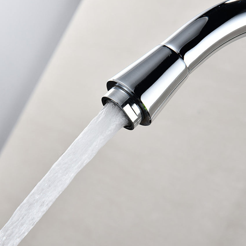 Traditional 1-Handle Faucet 1-Hole with Water Dispenser Standard Kitchen Faucet Clearhalo 'Home Improvement' 'home_improvement' 'home_improvement_kitchen_faucets' 'Kitchen Faucets' 'Kitchen Remodel & Kitchen Fixtures' 'Kitchen Sinks & Faucet Components' 'kitchen_faucets' 6615584