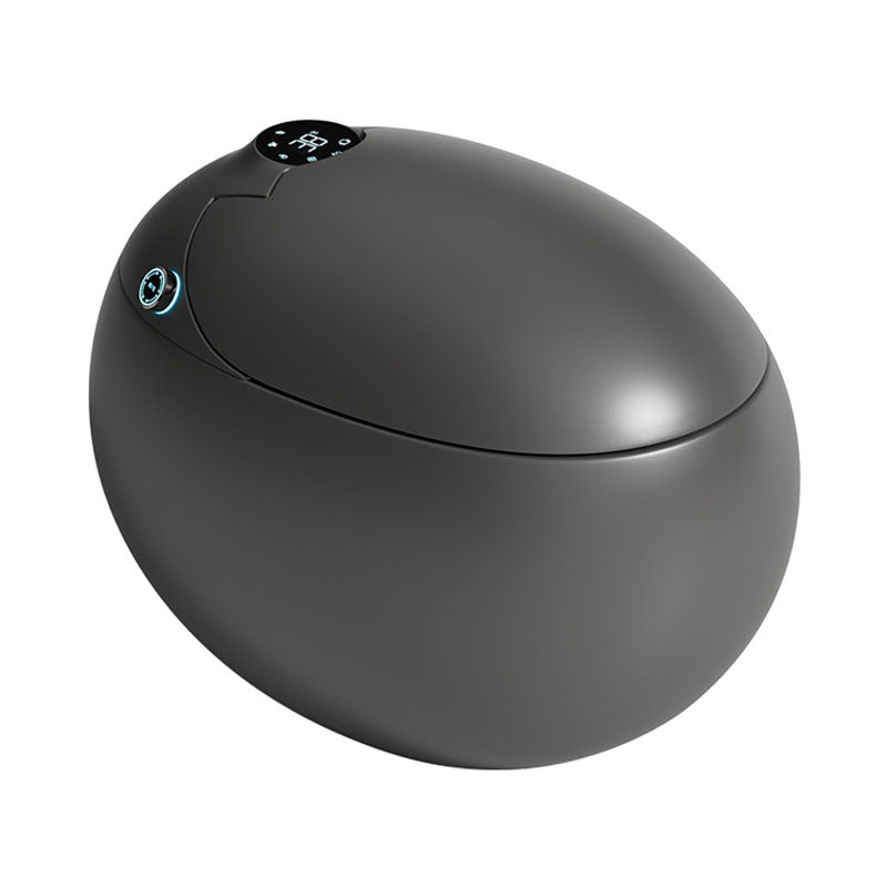 Solid Color Egg Shaped Electronic Toilet Elongated Floor Standing Bidet in Tankless Black Clearhalo 'Bathroom Remodel & Bathroom Fixtures' 'Bidets' 'Home Improvement' 'home_improvement' 'home_improvement_bidets' 'Toilets & Bidets' 6624216