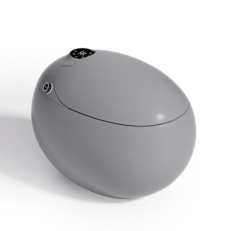 Solid Color Egg Shaped Electronic Toilet Elongated Floor Standing Bidet in Tankless Grey Clearhalo 'Bathroom Remodel & Bathroom Fixtures' 'Bidets' 'Home Improvement' 'home_improvement' 'home_improvement_bidets' 'Toilets & Bidets' 6624218