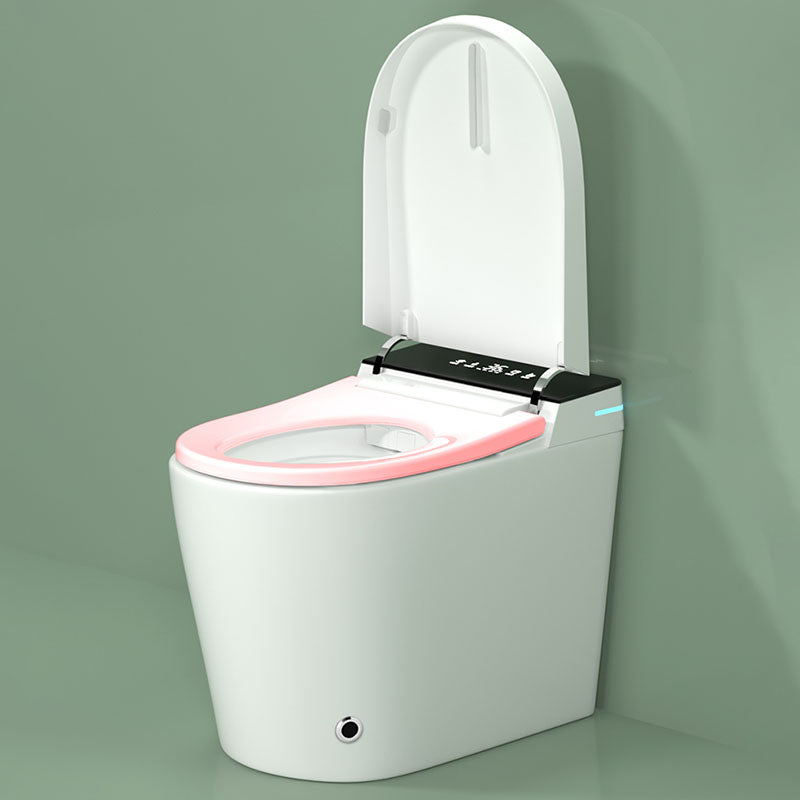 Modern 17.5" H Electronic Toilet Elongated Floor Standing Bidet Clearhalo 'Bathroom Remodel & Bathroom Fixtures' 'Bidets' 'Home Improvement' 'home_improvement' 'home_improvement_bidets' 'Toilets & Bidets' 6624321