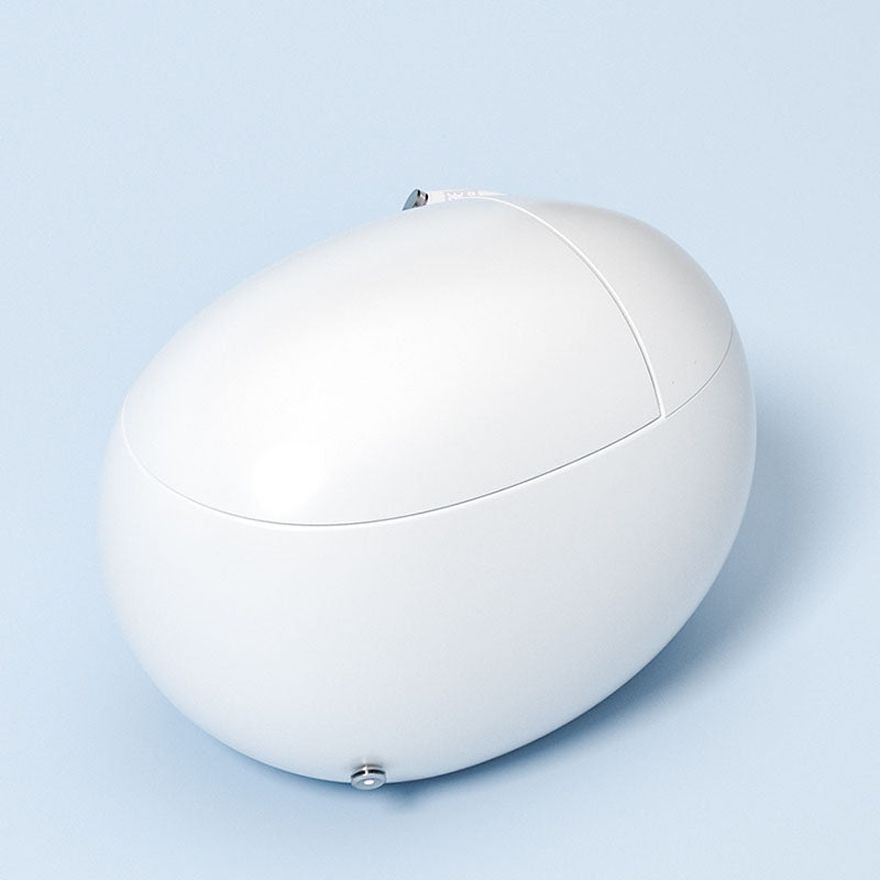 White Egg Shaped Electronic Elongated Toilet Floor Standing Bidet Automatic Lid Clearhalo 'Bathroom Remodel & Bathroom Fixtures' 'Bidets' 'Home Improvement' 'home_improvement' 'home_improvement_bidets' 'Toilets & Bidets' 6624343